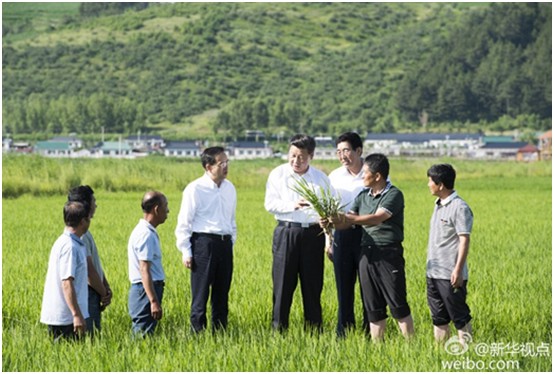 3044永利集团集团,长沙杀虫剂,长沙光气衍生物,长沙氨基酸保护剂,长沙锂离子电池材料
