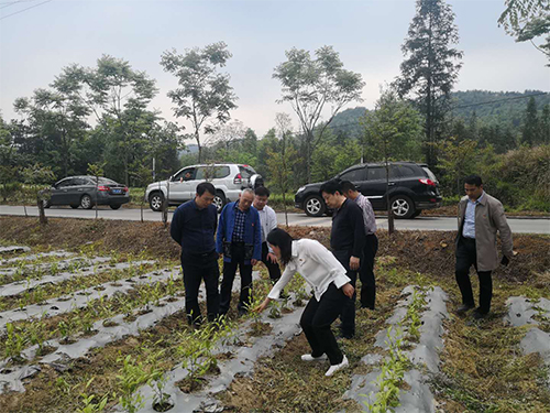 3044永利集团集团,长沙杀虫剂,长沙光气衍生物,长沙氨基酸保护剂,长沙锂离子电池材料