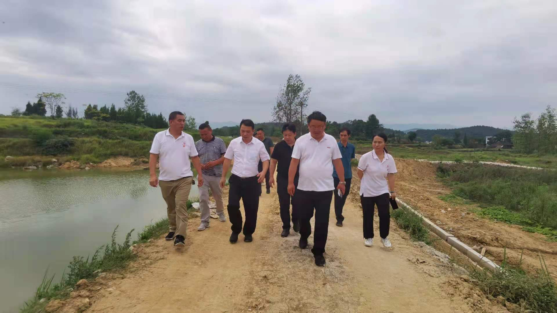 3044永利集团集团,长沙杀虫剂,长沙光气衍生物,长沙氨基酸保护剂,长沙锂离子电池材料