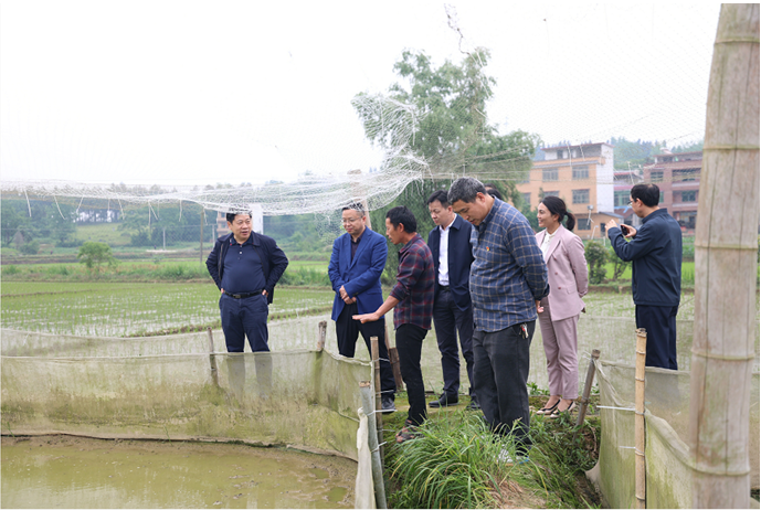 3044永利集团集团,长沙杀虫剂,长沙光气衍生物,长沙氨基酸保护剂,长沙锂离子电池材料