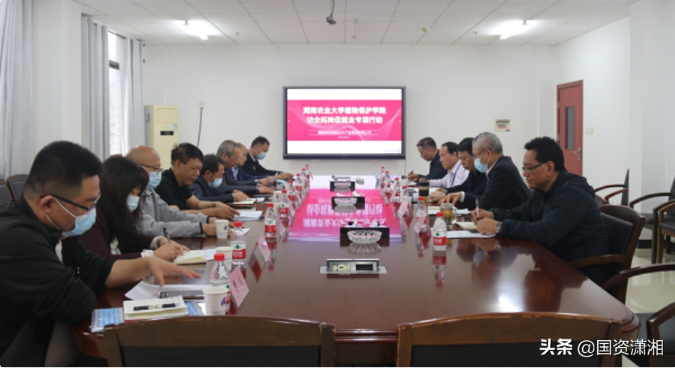 3044永利集团集团,长沙杀虫剂,长沙光气衍生物,长沙氨基酸保护剂,长沙锂离子电池材料