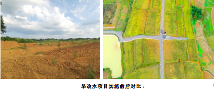 3044永利集团集团,长沙杀虫剂,长沙光气衍生物,长沙氨基酸保护剂,长沙锂离子电池材料
