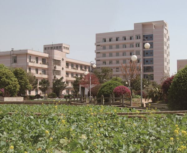 3044永利集团集团,长沙杀虫剂,长沙光气衍生物,长沙氨基酸保护剂,长沙锂离子电池材料