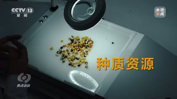 3044永利集团集团,长沙杀虫剂,长沙光气衍生物,长沙氨基酸保护剂,长沙锂离子电池材料