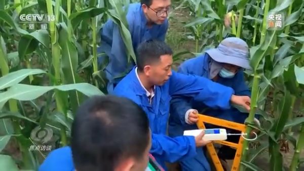 3044永利集团集团,长沙杀虫剂,长沙光气衍生物,长沙氨基酸保护剂,长沙锂离子电池材料
