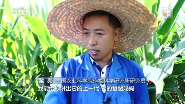 3044永利集团集团,长沙杀虫剂,长沙光气衍生物,长沙氨基酸保护剂,长沙锂离子电池材料