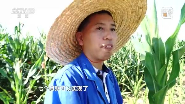 3044永利集团集团,长沙杀虫剂,长沙光气衍生物,长沙氨基酸保护剂,长沙锂离子电池材料