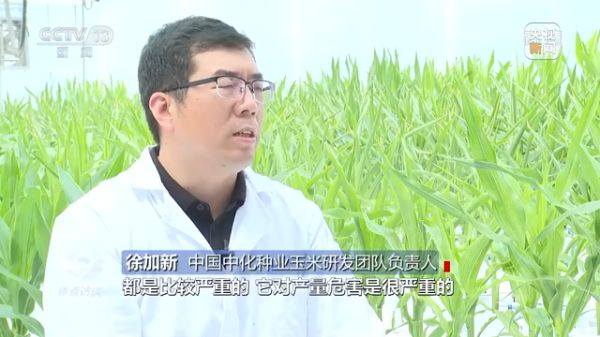 3044永利集团集团,长沙杀虫剂,长沙光气衍生物,长沙氨基酸保护剂,长沙锂离子电池材料
