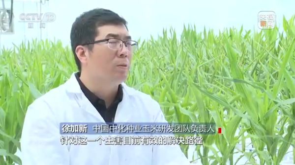 3044永利集团集团,长沙杀虫剂,长沙光气衍生物,长沙氨基酸保护剂,长沙锂离子电池材料