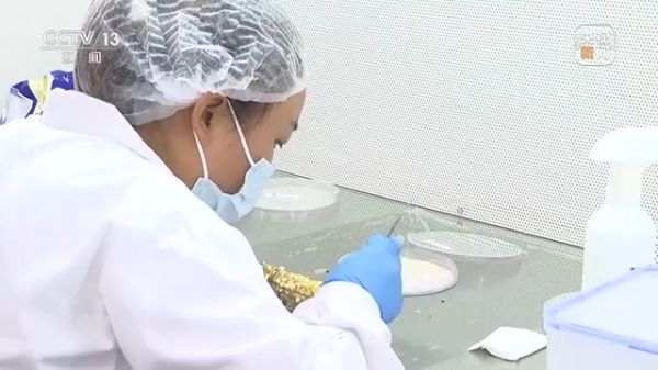 3044永利集团集团,长沙杀虫剂,长沙光气衍生物,长沙氨基酸保护剂,长沙锂离子电池材料