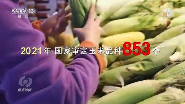 3044永利集团集团,长沙杀虫剂,长沙光气衍生物,长沙氨基酸保护剂,长沙锂离子电池材料