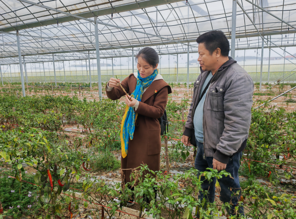3044永利集团集团,长沙杀虫剂,长沙光气衍生物,长沙氨基酸保护剂,长沙锂离子电池材料